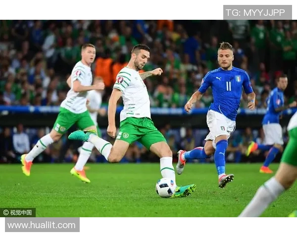 法国与爱尔兰精彩对决完整版回顾与分析