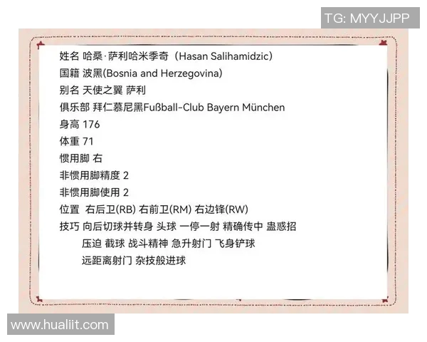 萨利哈米季奇的足球生涯与未来发展展望分析