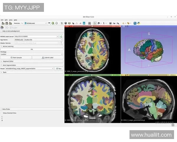 全面解析3D走势图带连线图表的应用与优势助力数据可视化与决策分析